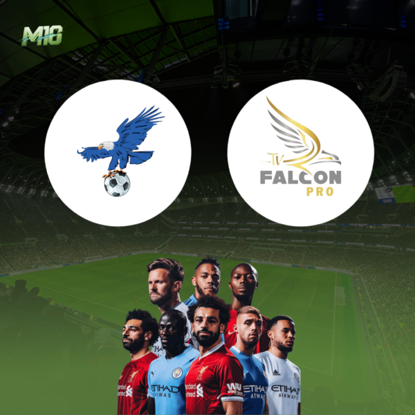 اشتراك فولتشر سنة + فالكون سنة